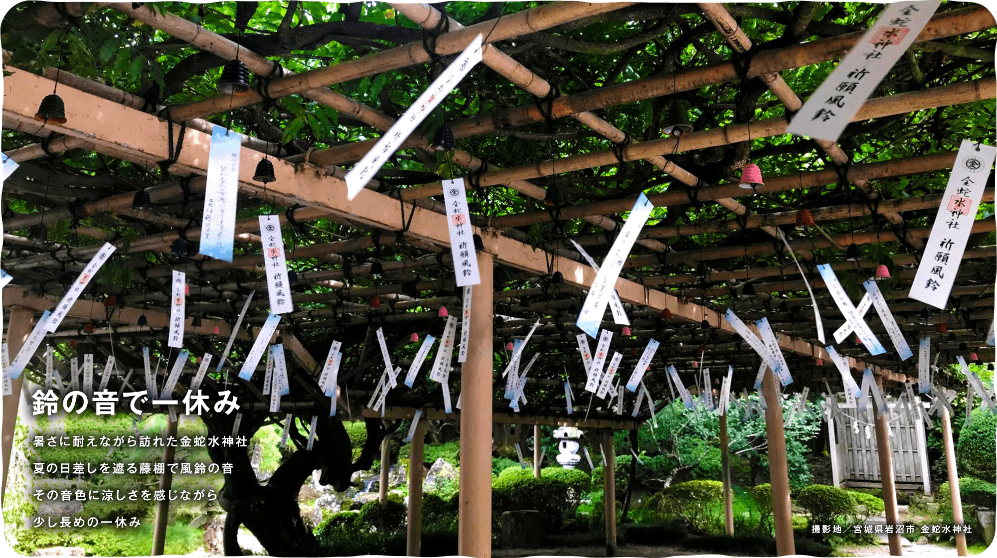 暑さに耐えながら訪れた金蛇水神社 夏の日差しを遮る藤棚で風鈴の音 その音色に涼しさを感じながら少し長めの一休み