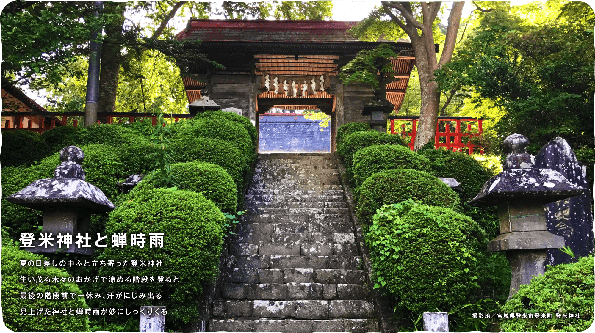 登米神社と蝉時雨　夏の日差しの中ふと立ち寄った登米神社生い茂る木々のおかげで涼める階段を登ると最後の階段前で一休み、汗がにじみ出る見上げた神社と蝉時雨が妙にしっくりくる