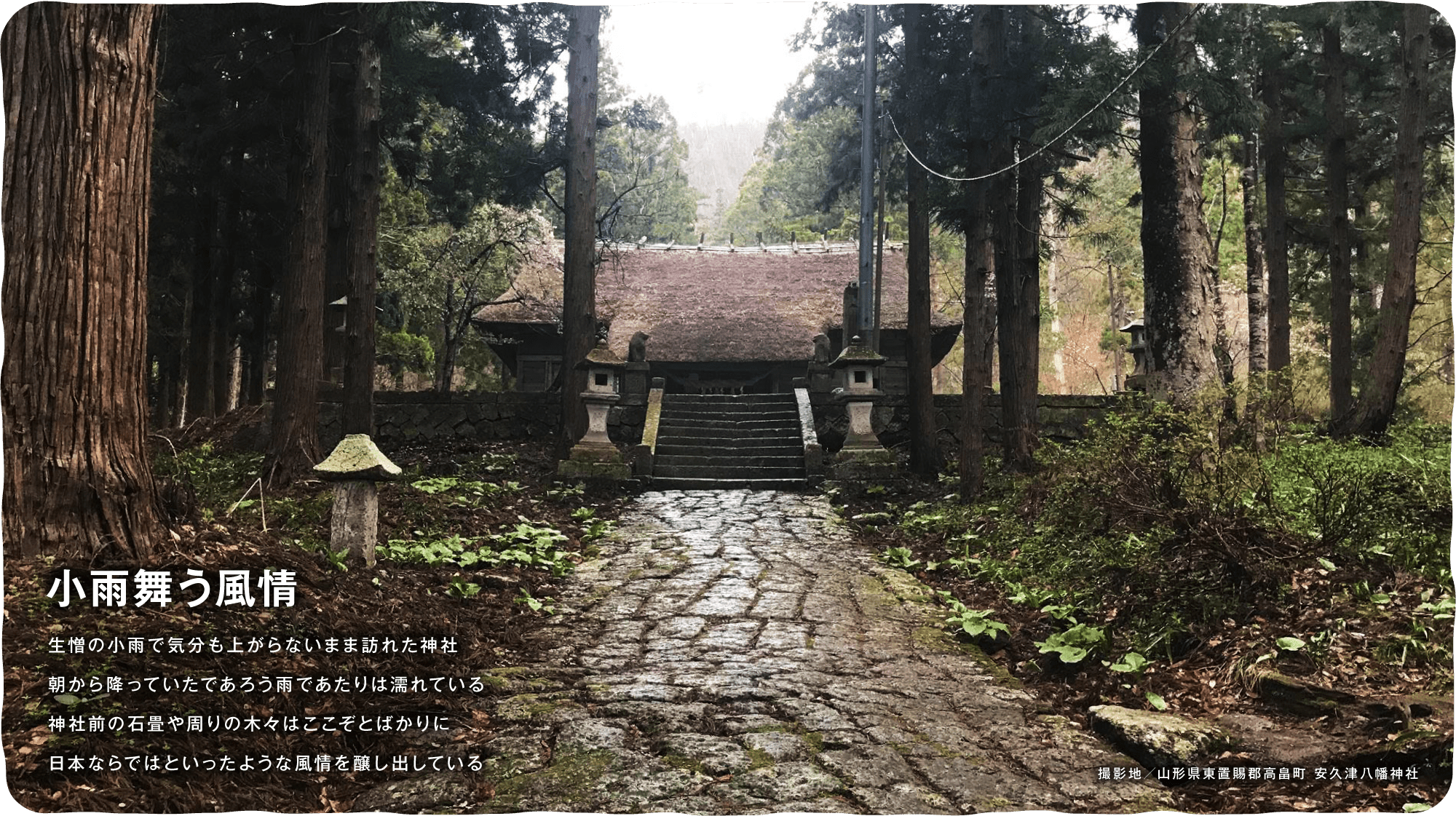 小雨舞う風情　生憎の小雨で気分も上がらないまま訪れた神社 朝から降っていたであろう雨であたりは濡れている神社前の石畳や周りの木々はここぞとばかりに日本ならではといったような風情を醸し出している