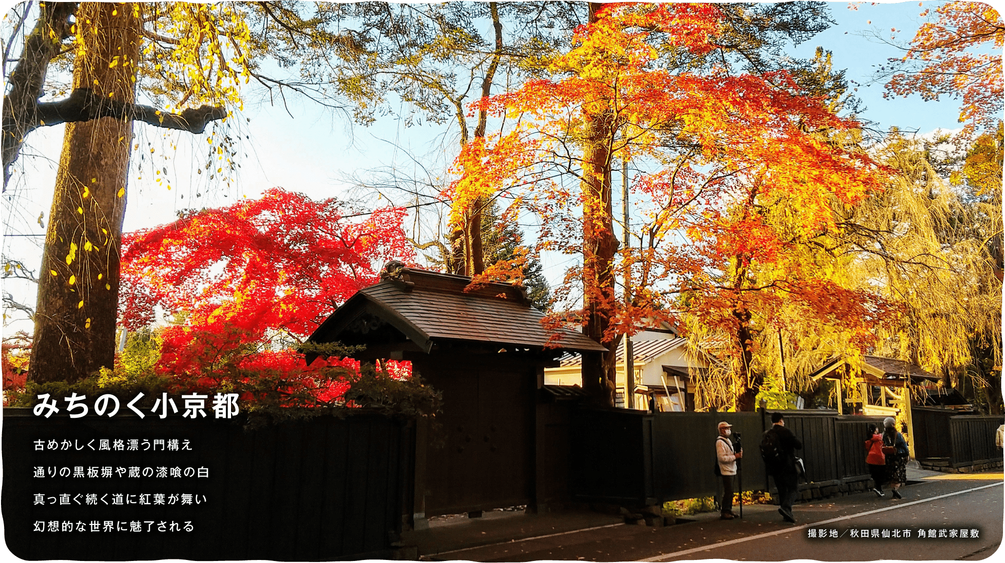 みちのく小京都　古めかしく風格漂う門構え通りの黒板塀や蔵の漆喰の白真っ直ぐ続く道に紅葉が舞い幻想的な世界に魅了される